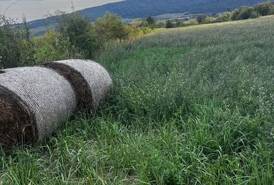 Spațiu comercial, în Viișoara