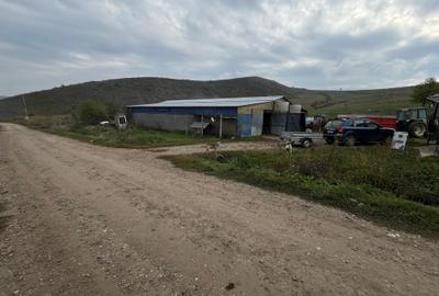 Teren Construcții intravilan de 6500 mp, în Frata - 1