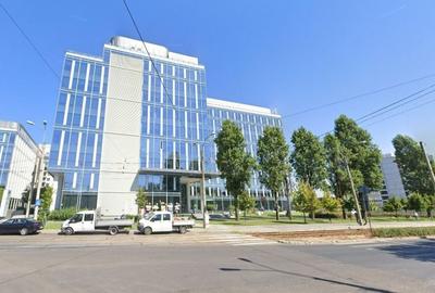 Teren Construcții intravilan de 189 mp, în Domenii