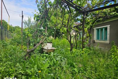 Casă cu 4 camere cu Teren 700 Mp în Podu Roș