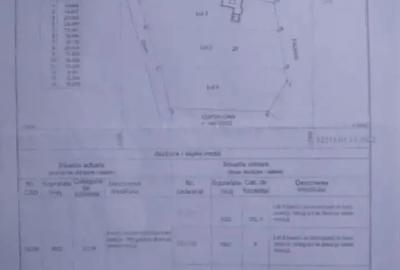 Casă cu Teren 1350 Mp în Central - 6