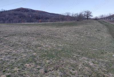 Teren de 4090 mp, în Cozia