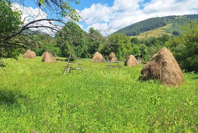 Teren de 876 mp, în Valea Doftanei