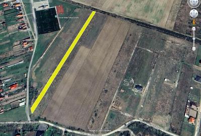 Teren de 5000 mp, în Urseni - 1