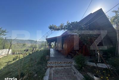 Casă cu 3 camere cu Teren 1400 Mp în Jichișu de Jos - 9