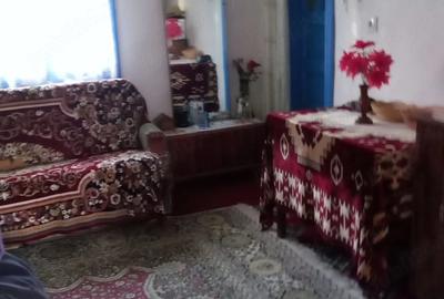 Casă cu 3 camere cu Teren 7490 Mp în Agăș