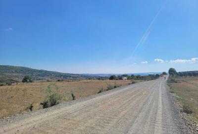 Teren de 900 mp, în Nord