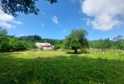 Teren de 1700 mp, în Vlădești