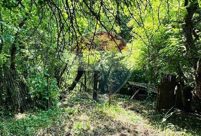 Casă cu 2 camere în Valea Hotarului