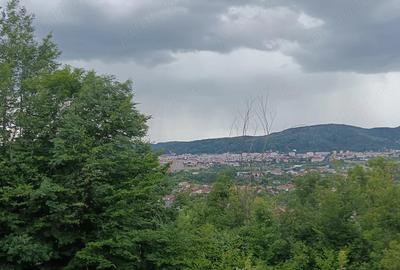 Teren de 14000 mp, în Goranu - 2