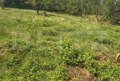Casă cu 2 camere în Nord