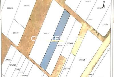 Teren Construcții intravilan de 1250 mp, în Boreal