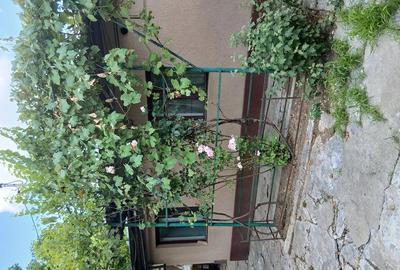 Casă cu Teren 248 Mp în Andronache - 6