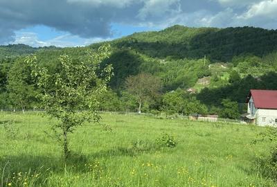 Teren de 2600 mp, în Vișeu de Sus - 1