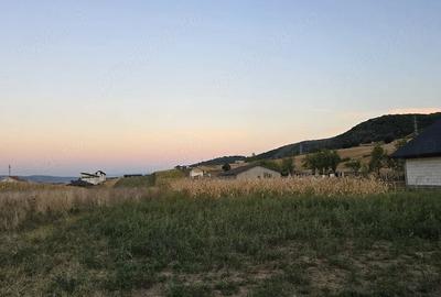 Teren de 2600 mp, în Mintia