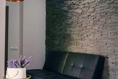 Apartament cu 2 camere semidecomandat în Dosu Bricii