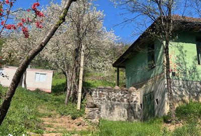 Casă cu 4 camere cu Teren 6700 Mp în Central - 2