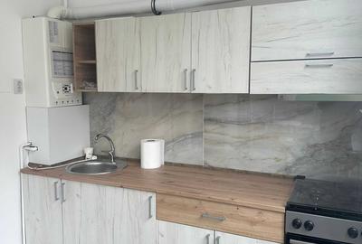 Apartament cu 2 camere decomandat în Craiovița Nouă - 1