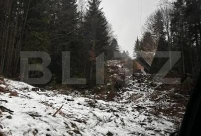 Teren de 4000 mp, în Calea Moroieni - 12