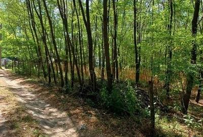 Teren de 5600 mp, în Central