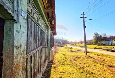 Casă individuală cu 4 camere cu Teren 10486 Mp în Ierșnic - 10