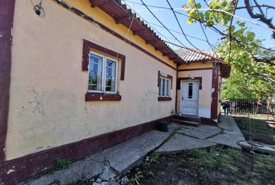 Casă cu 4 camere cu Canalizare în Topraisar - 5