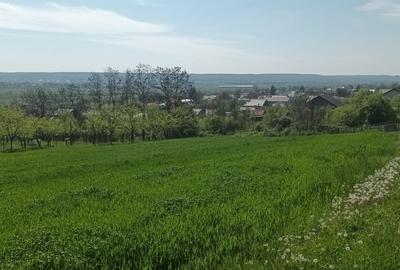Teren în Micești - 6