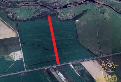 Teren agricol extravilan de 21496 mp, în Săcădat - 1