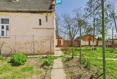 Casă individuală cu 4 camere cu Teren 5942 Mp în Gelu - 22