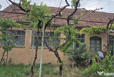 Casă cu 4 camere cu Teren 1993 Mp în Cheresig - 4