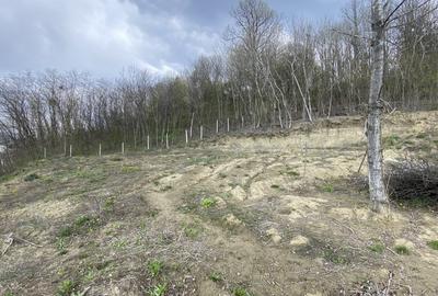 Teren Construcții intravilan de 1400 mp, în Ștefăneștii Noi - 2