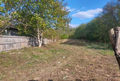 Teren de 7000 mp, în Drăgoești - 10