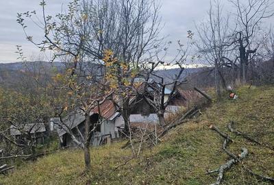 Casă cu 4 camere în Văleni-Dâmbovița - 9