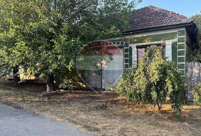 Casă cu 3 camere cu Teren 1151 Mp în Săldăbagiu Mic