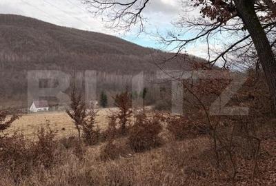 Teren de 3300 mp, în Ciurila - 3