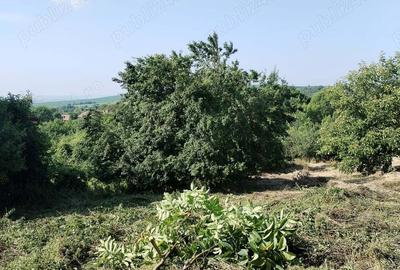 Teren de 2200 mp, în Aiton - 6