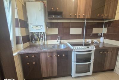Apartament cu 2 camere în Obcini