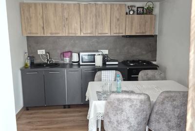 Casă cu 2 camere în Păcurari