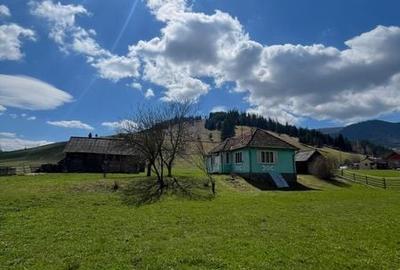 Casă cu 3 camere cu Teren 97 Mp în Lunca de Jos - 2