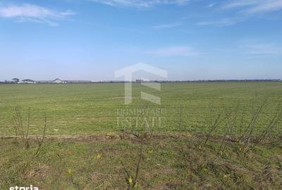 Teren de 8650 mp, în Cernica