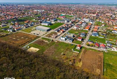 Spațiu comercial, în Dumbrăvița - 12