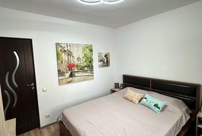 Apartament cu 2 camere semidecomandat, mobilat în Rahova - 10