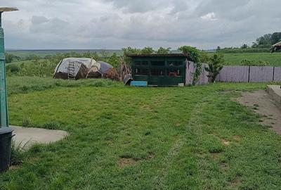 Casă cu 2 camere cu Teren 3868 Mp în Bârsănești - 2