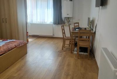 Garsonieră nedecomandată în Județean - 7