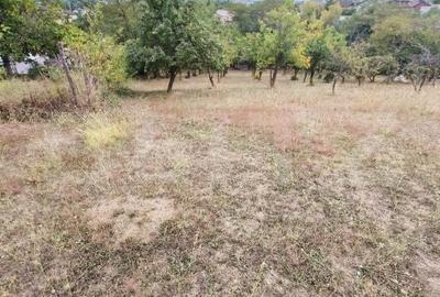 Teren de 1693 mp, în Bradu