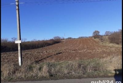 Teren în Albota - 7