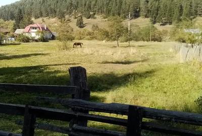 Teren de 5002 mp, în Central - 3