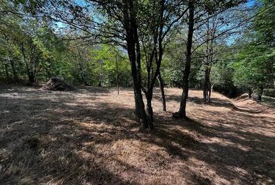 Teren de 700 mp, în Baru