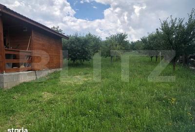 Teren de 1300 mp, în Viile Satu Mare - 9