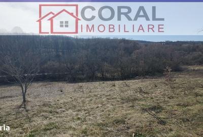 Spațiu comercial, în Căinelu de Jos - 1